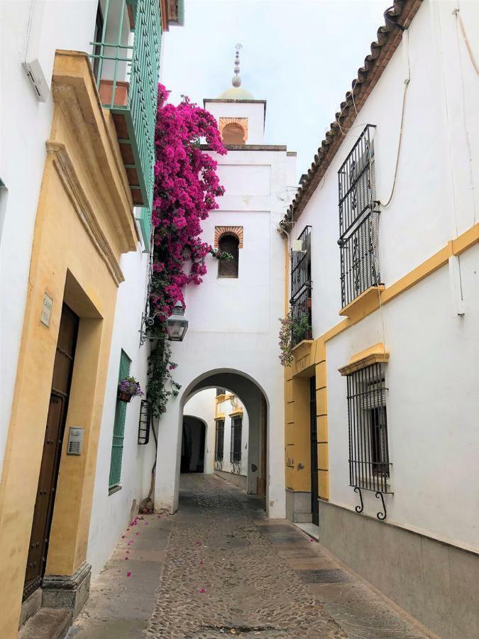 Entre 2 Mezquitas Apartamento 8 Córdoba Eksteriør bilde