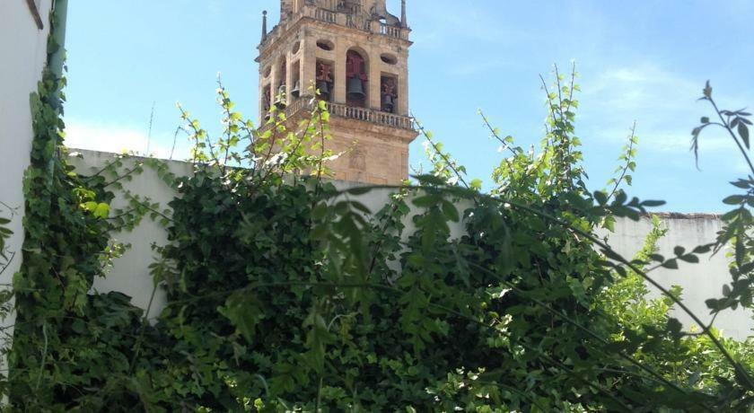 Entre 2 Mezquitas Apartamento 8 Córdoba Eksteriør bilde
